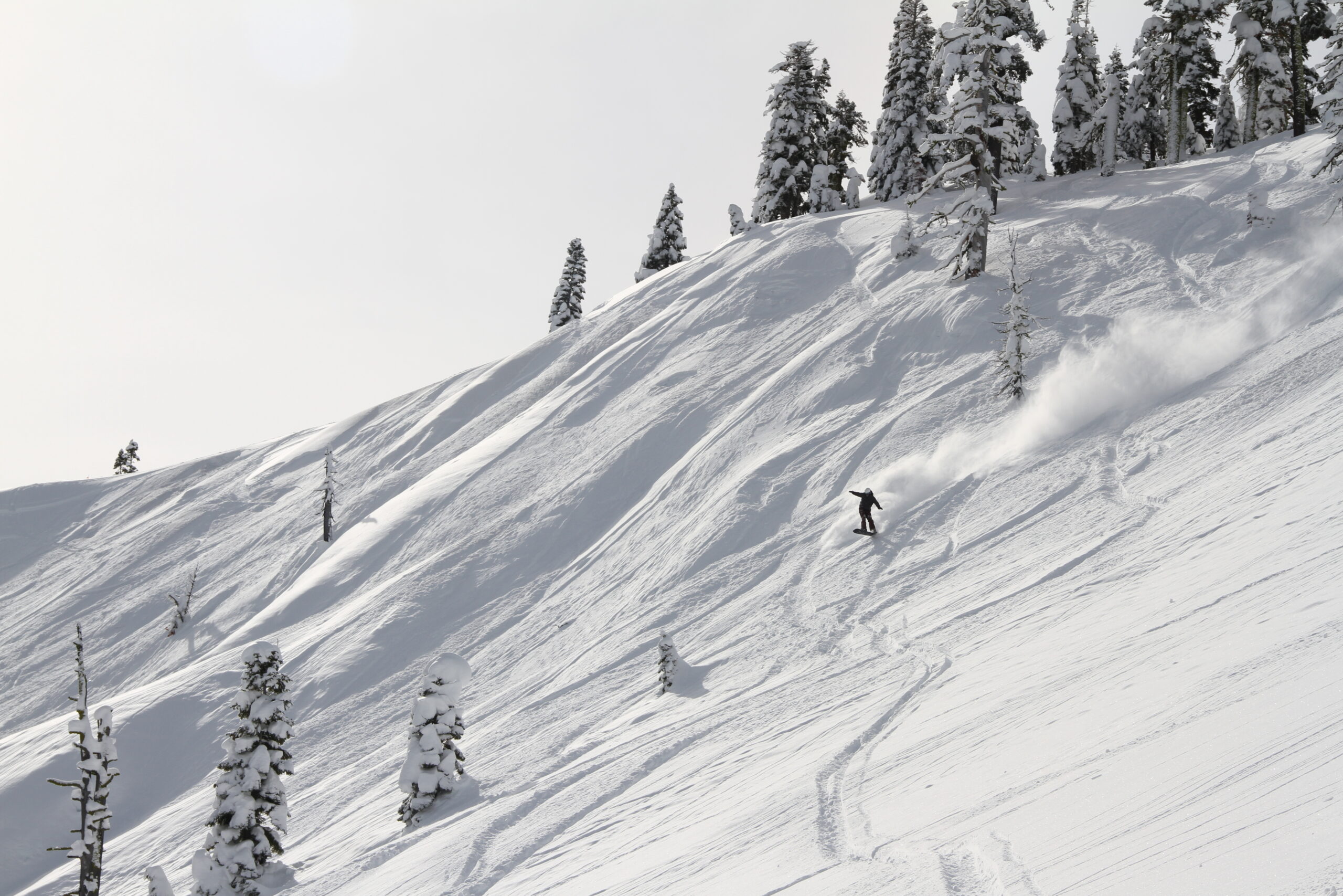 Tahoe Powder Without the Crowds